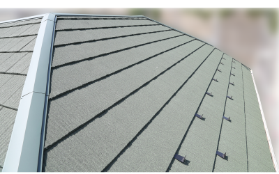 プロテクト株式会社